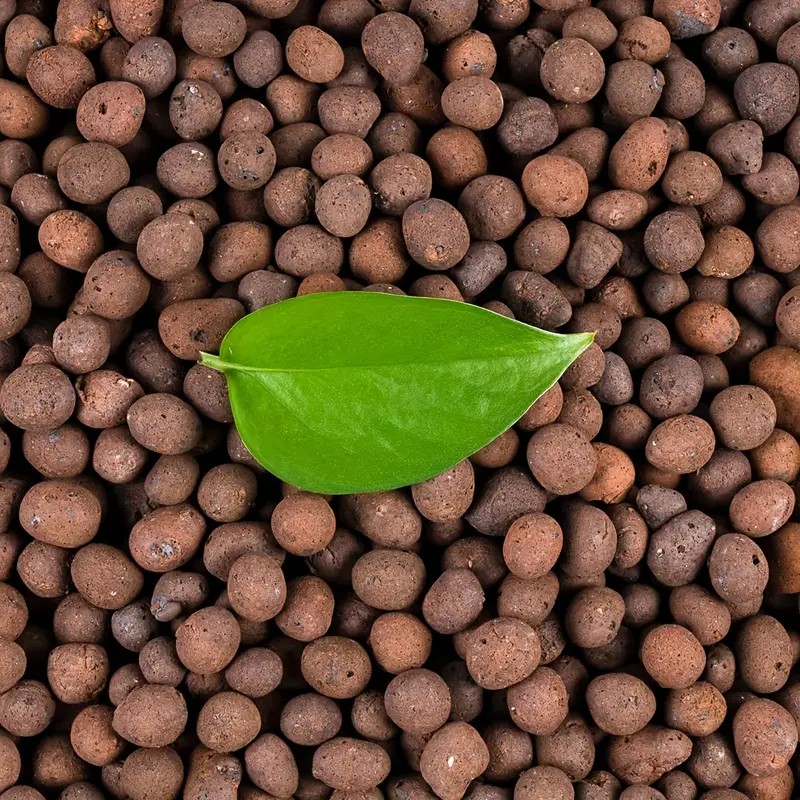 Clay Pebble Growing - 1LB Reusable Hydroponic Clay Pebbles ธรรมชาติปลูก