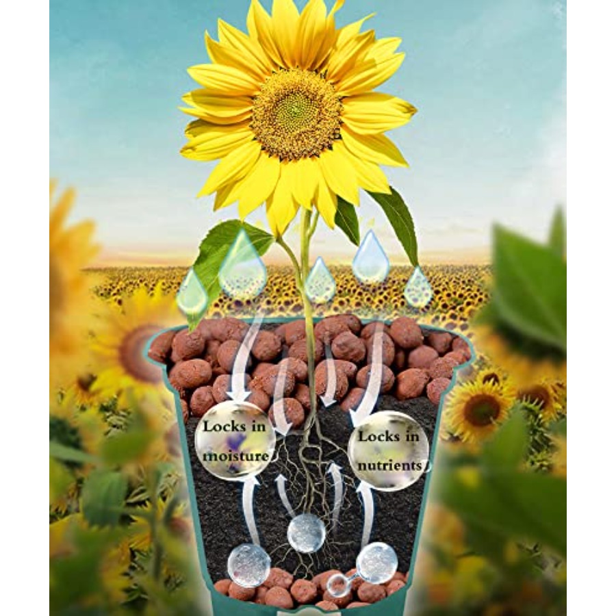 หินดินเหนียว Voulosimi สำหรับป - Clay Pebble Growing บทวิจารณ์และราคา