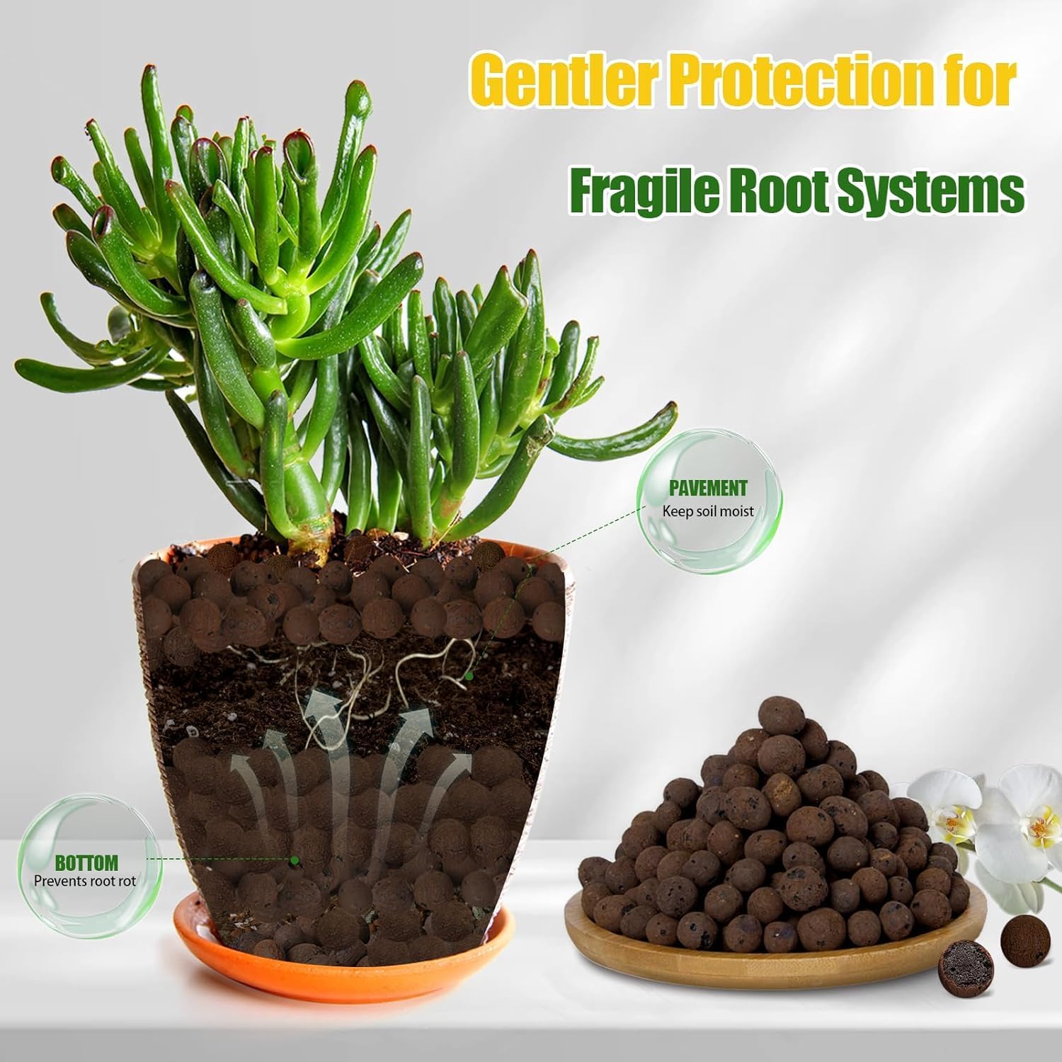 ดินเหนียวออร์แกนิก 2 ลิตร/1 ลิ - Clay Pebble Growing บทวิจารณ์และราคา