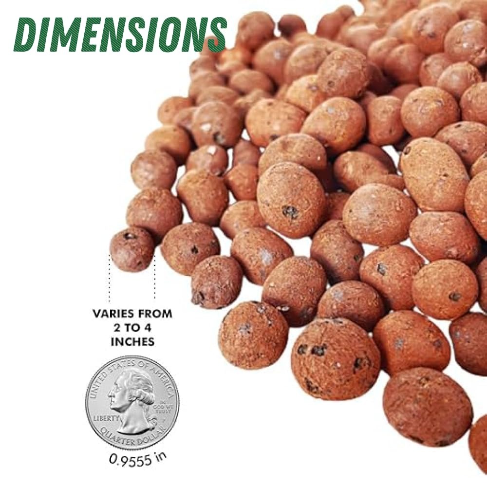 ดินอัดเม็ดสำหรับปลูกพืชไร้ดิน  - Clay Pebble Growing บทวิจารณ์และราคา