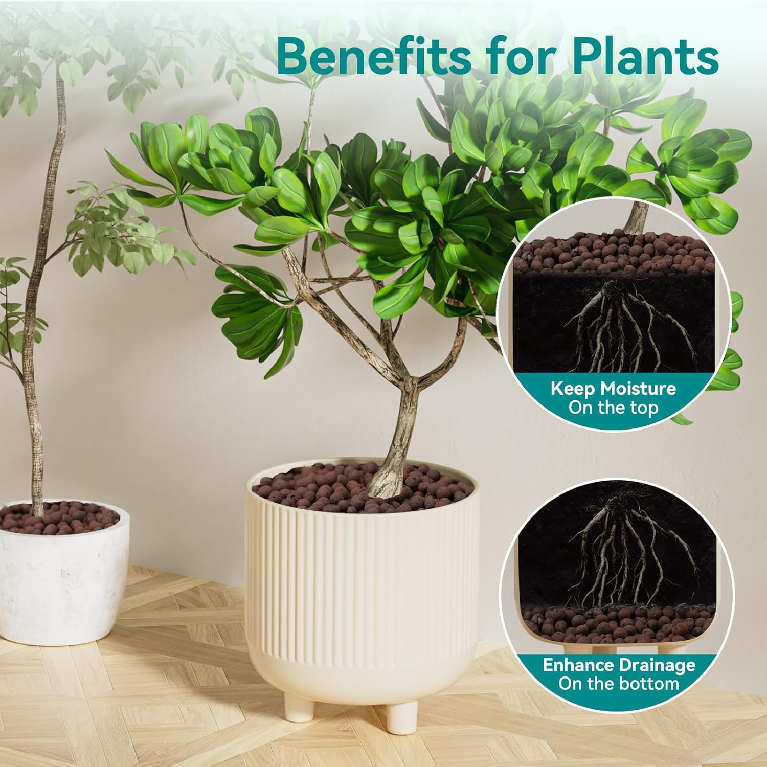 ดินเหนียวเม็ดเล็ก 100/200 กรัม - Clay Pebble Growing บทวิจารณ์และราคา