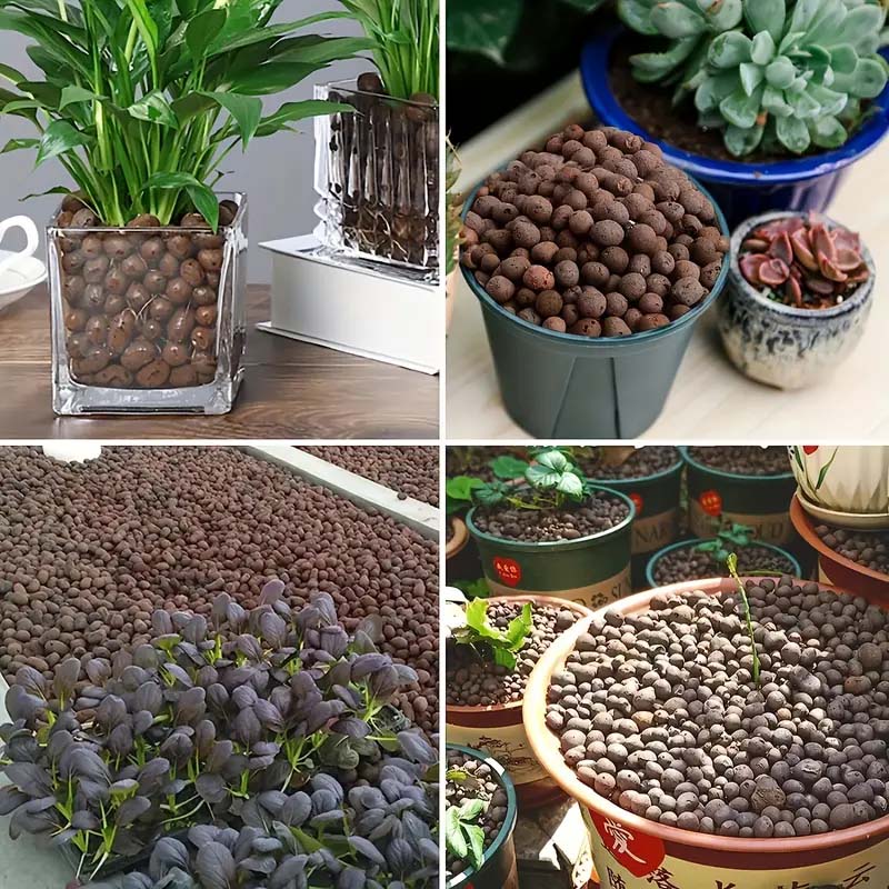 ดินเหนียวเม็ดเล็ก 100/200 กรัม - Clay Pebble Growing บทวิจารณ์และราคา