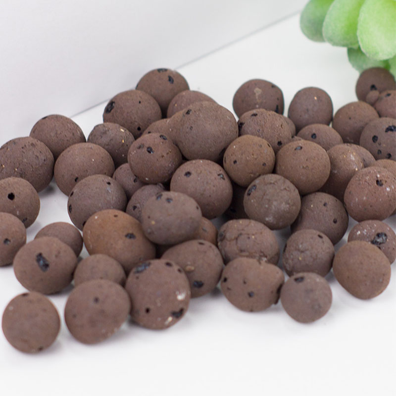 500G Organic Light Ceramsite C - Clay Pebble Growing บทวิจารณ์และราคา