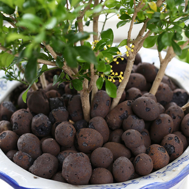 500G Organic Light Ceramsite C - Clay Pebble Growing บทวิจารณ์และราคา