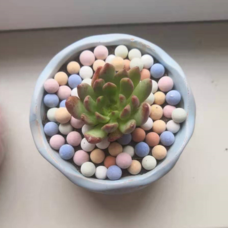 เซรามิกที่เป็นของแข็งก้อนกรวดด - Clay Pebble Growing บทวิจารณ์และราคา